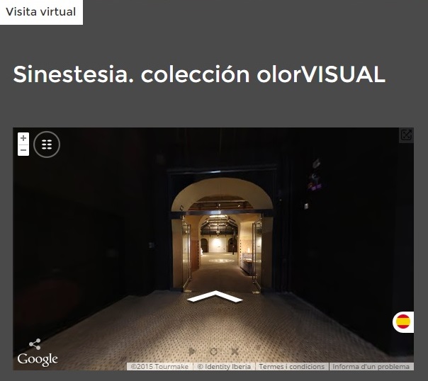 Visita virtual_Sinestesia