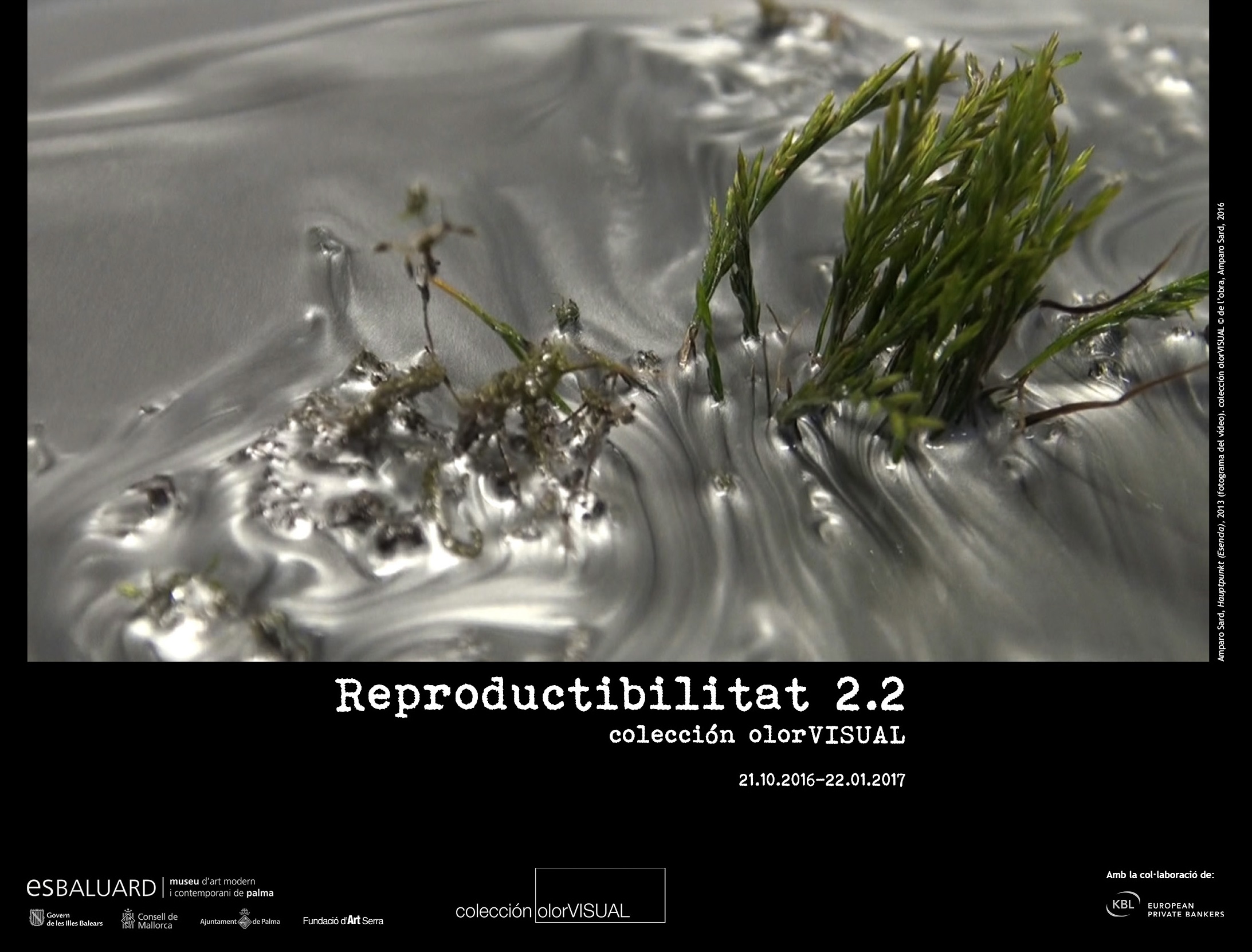 Reproductibilitat 2.2.